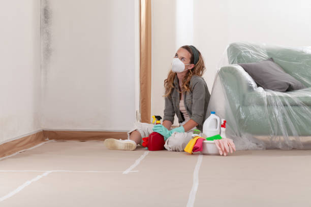 Reliable Mold Remediation contractor in Coral Springs, FL by WQB Mold Removal